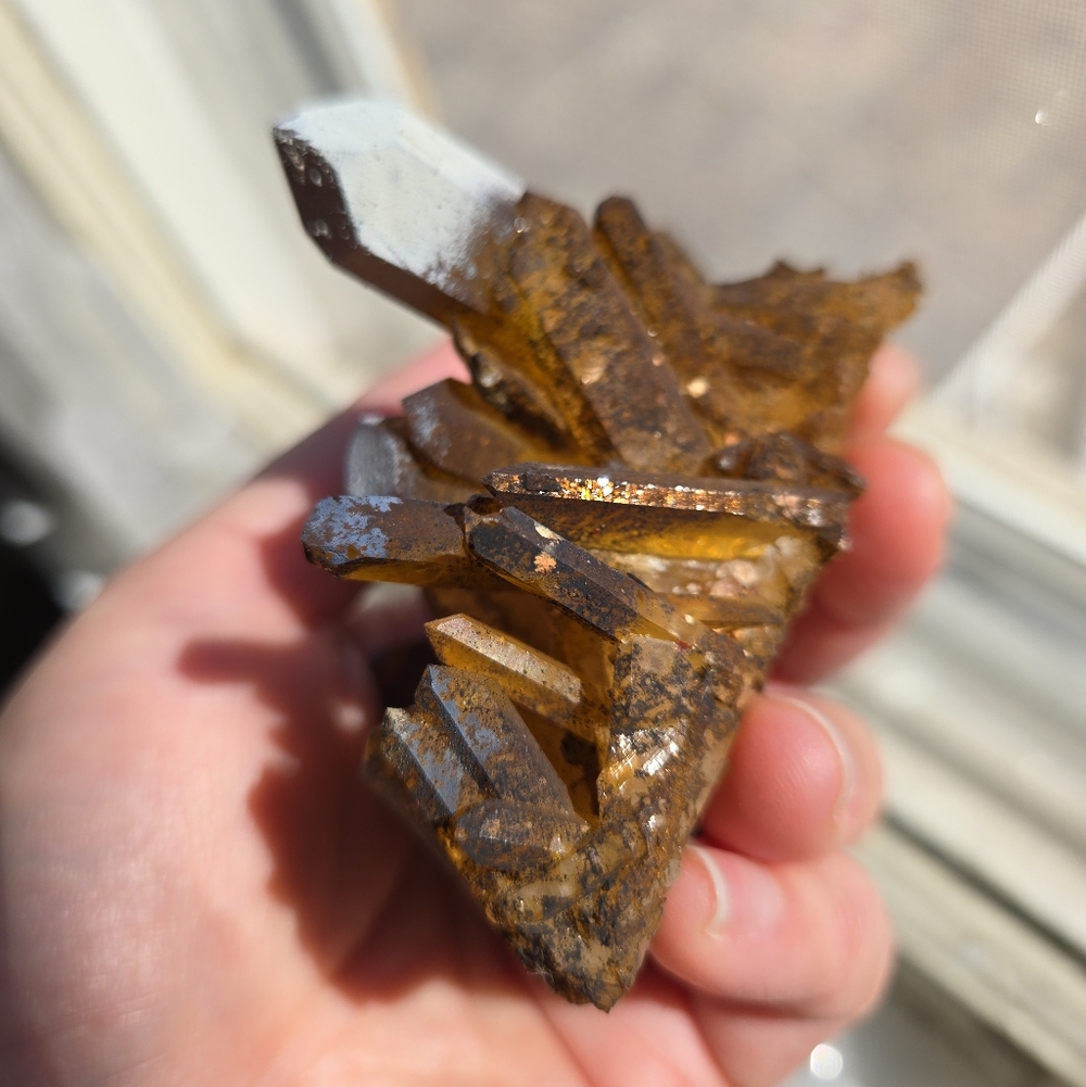 Solaris Quartz Cluster